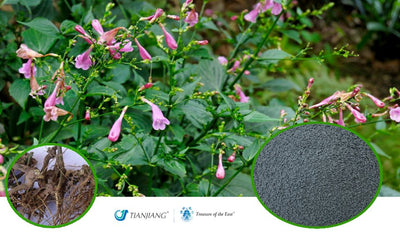 Treasure of the East, Indigo - Qing Dai (1:1 Herbal Extract Powder, 1kg)