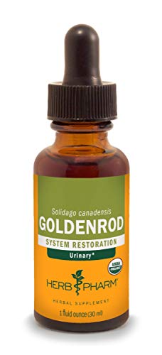 Herb Pharm Certified Organic Goldenrod Liquid Extract for Urinary System Support, 1 Fl Oz (Pack of 1)