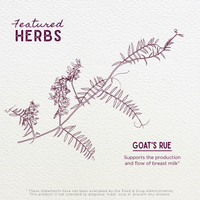 Goat's Rue, Lactation Aid