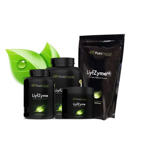 LiyfZyme Plant Based Digestive Enzyme Supplement - 180 Veggie Caps. PuraDyme By Lou Cornoa. bottle
